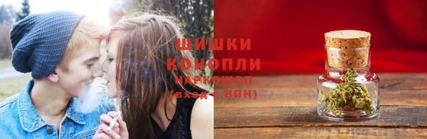 гидропоника Алзамай