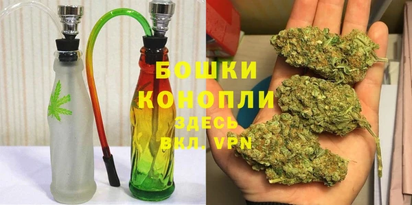 гидропоника Алзамай