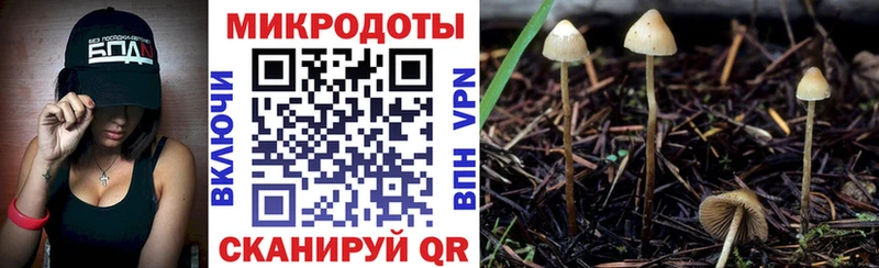 купить  сайты  Старый Оскол  Галлюциногенные грибы Psilocybine cubensis 