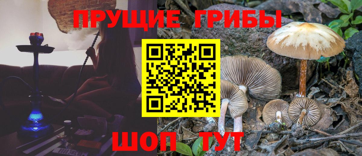 Галлюциногенные грибы MAGIC MUSHROOMS Старый Оскол